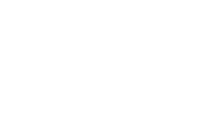Logo_Dudswell_blanc_transparent2
