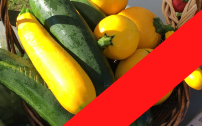La potagerie de Dudswell cherche ses bénévoles pour la saison !