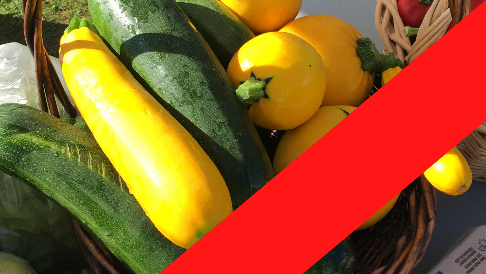 La potagerie de Dudswell cherche ses bénévoles pour la saison !